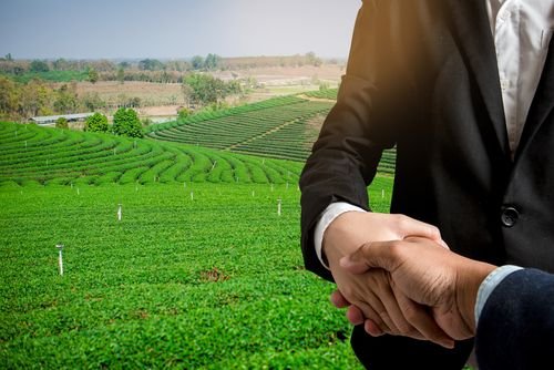 Agricultural Land
