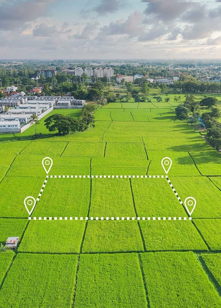 Residential Plot